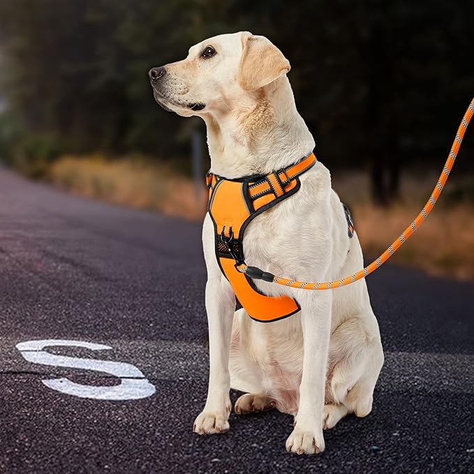 IVY&LANE No Pull Dog Harness for Small Dogs, Vest Harness with Leash, Safety Belt and Storage Strap, Fully Adjustable, 360° Reflective Strip, Soft Handle (Orange, S)