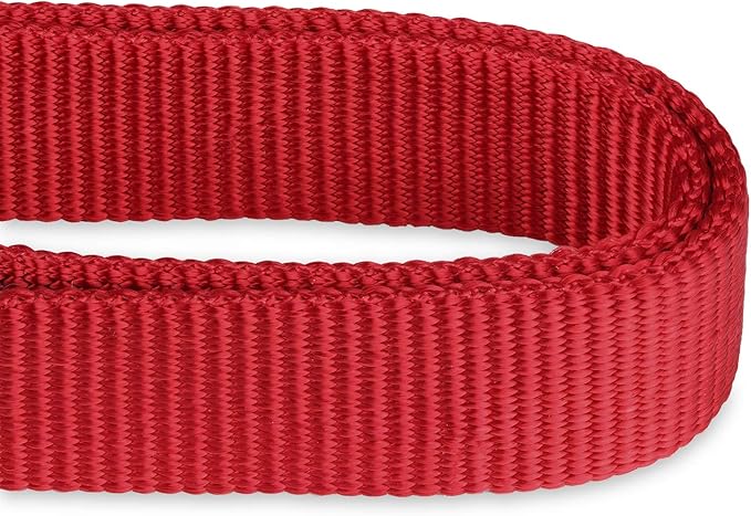 Hyhug Pets Premium Upgraded Heavy Duty Nylon Anti-Escape Martingale Collar for Boy and Girl Dogs Comfy and Safe - Professional Training, Daily Use Walking. (Small, Red)