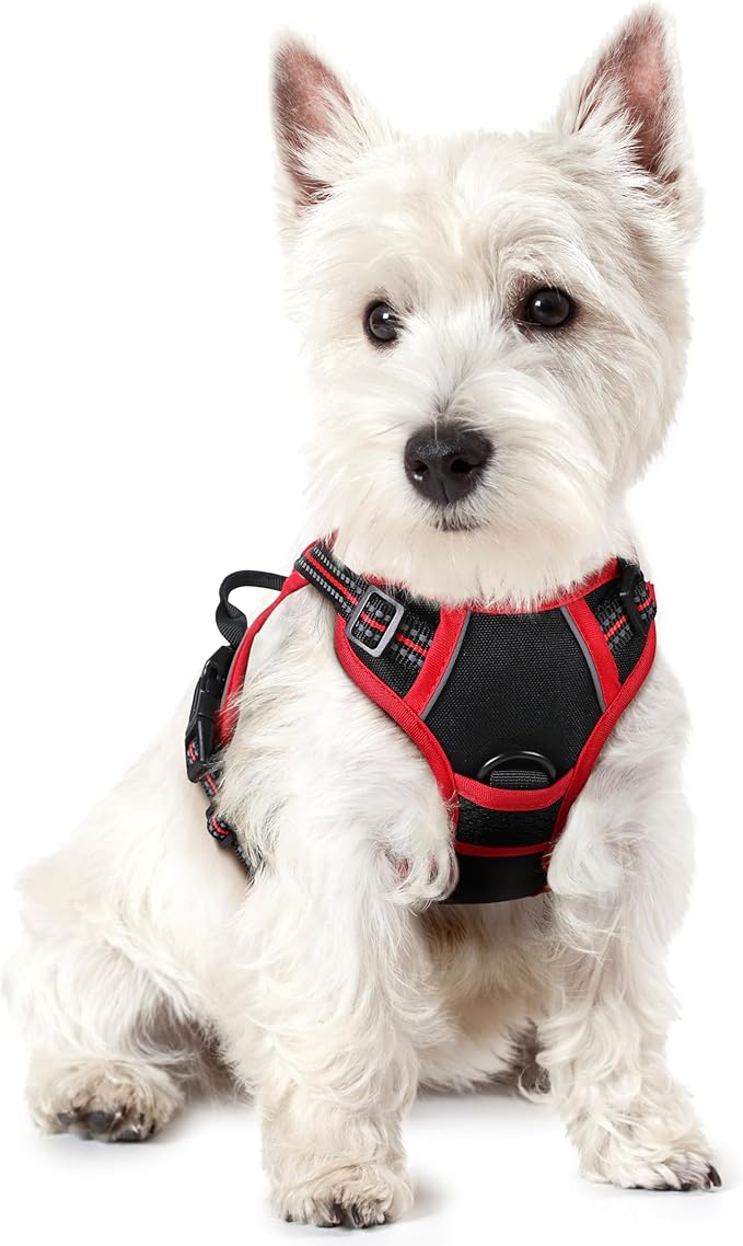 rabbitgoo Dog Harness No Pull with 2 Leash Clips, Adjustable Soft Padded, Reflective Oxford No Choke Pet Vest with Easy Control Handle for Puppy, Black & Red, XS