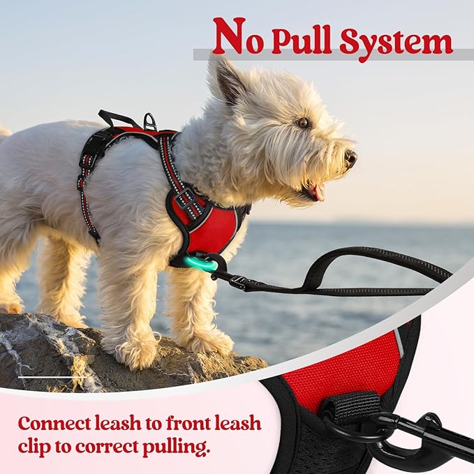 rabbitgoo Dog Harness No Pull with 2 Leash Clips, Adjustable Soft Padded, Reflective Oxford No Choke Pet Vest with Easy Control Handle for Puppy, Red,XS