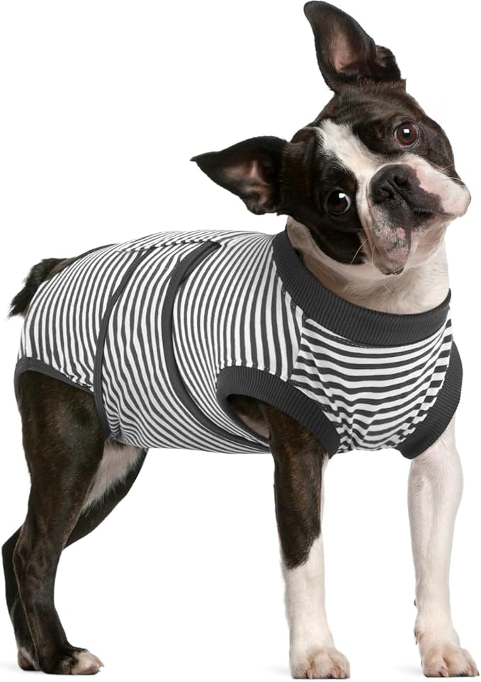 FUAMEY Dog Recovery Suit Male,Dogs Surgery Neuter Suits Puppy Spay Shirts for Female Protect Dog's Skin Anti Licking Abdominal Wounds Doggie Onesie Pet Bodysuit Alternative to Cone Gray Stripes M