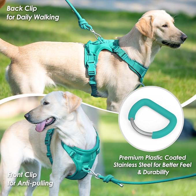 No Pull Dog Harness, Puppy Vest with Front Clip for Small Medium Large Sized Dog(MARRS Green,L)