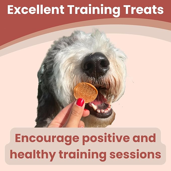 Farm To Pet Dog Training Treats, Healthy Turkey Dog Treats - 12 oz, Crunchy, Single Ingredient, All Natural Turkey Chips, Easy to Digest, Great for Dogs with Chicken Allergies, Made in USA