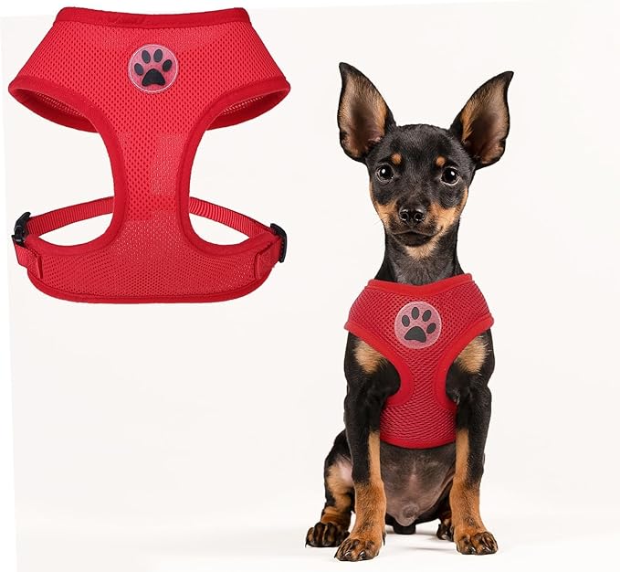 BINGPET No Pull Dog Harness - All Weather Mesh Step-in Vest for Small Dogs, Breathable Mesh Puppy & Cat Harness, Red, X-Small
