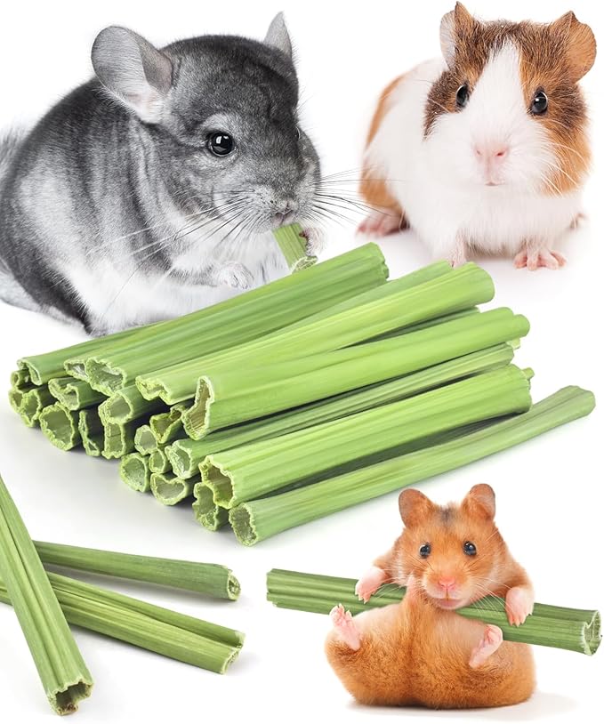Bissap 25 PCS Guinea Pigs Chew Sticks, Natural Papaya Stems Bunny Chews Treats for Hamsters Chinchillas Small Animals Organic Molar Chewing Snack