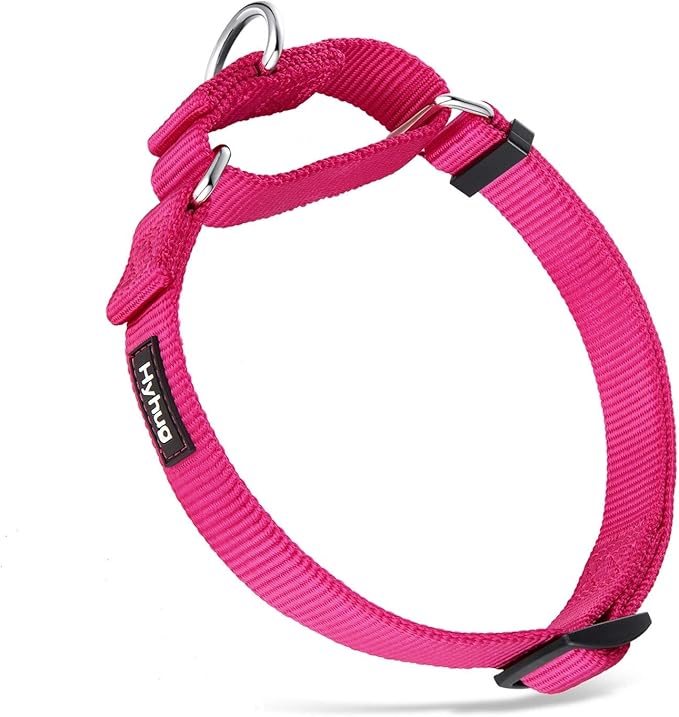Hyhug Pets Upgraded Heavy Duty Nylon Escape-Proof Martingale Dog Collar for Small Dogs Comfy and Safe - Professional Training, Daily Walking and Jogging. (Small, Rose Red)