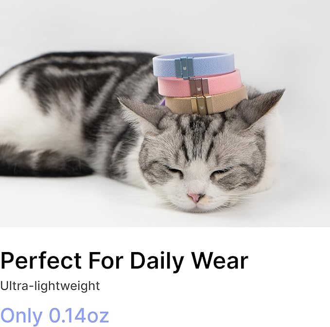 Safety Cat Collar - U.S. IDA Gold Awarding Design, Stretch Elastic Quick Release, Non Breakaway - Light Weight for Kitten, Neck Fit 7.8'-15.7' for All Small Large Cat,M(Alpine Green)