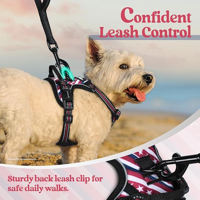 rabbitgoo Dog Harness No Pull with 2 Leash Clips, Adjustable Soft Padded, Reflective Oxford No Choke Pet Vest with Easy Control Handle for Large Dogs, Red Stripe, XS