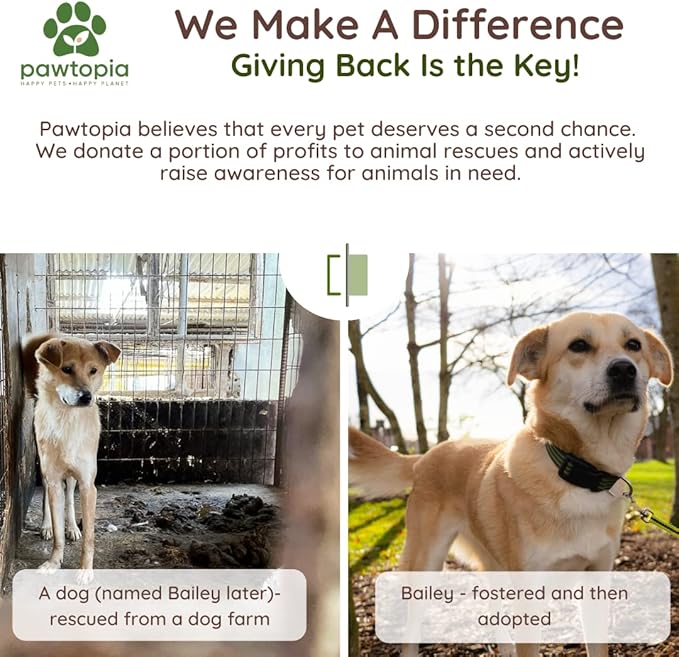 Pawtria Certified Home Compostable Dog Poop Bags (120) + Paper Dispenser, Biodegradable Poop Bags, Cat Litter, Vegetable Starches, Leak proof Dog Waste Bags, Easy to Open, Extra Thick