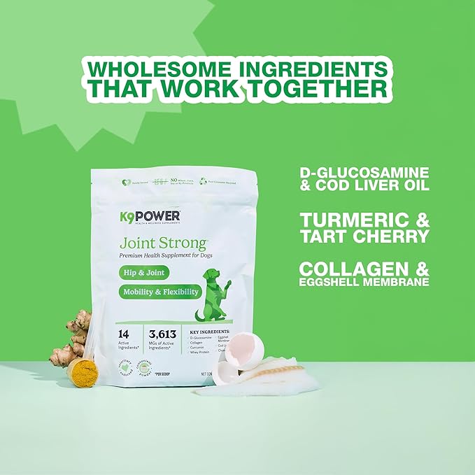 K9 Power Joint Strong Supplement 1 lb - Dog Joint Health & Mobility Support with Glucosamine, Curcumin, Chondroitin, Hip & Joint Pain Relief