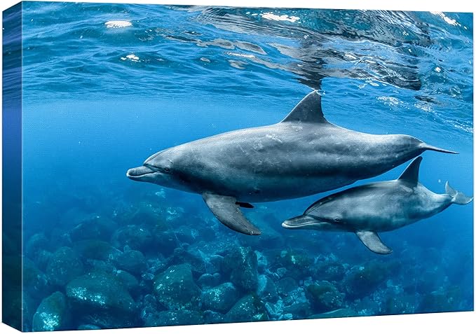 wall26 Canvas Print Wall Art Tropical Ocean Sea Underwater Dolphin Duo Nature Animals Photography Realism Rustic Scenic Landscape Wilderness Earth Colorful for Living Room, Bedroom, Office - 12"x18"