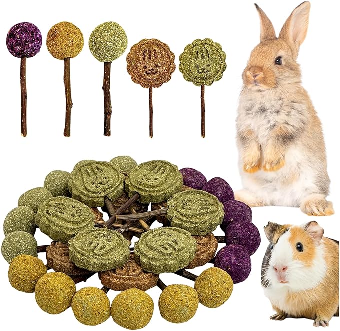 Fhiny Rabbit Chew Toys, 30 PCS Natural Bunny Lollipop Chew Sticks Handmade Guinea Pig Molar Treats for Teeth Small Animals Snacks for Guinea Pig Bunny Chinchilla Hamster Gerbil Teeth Care