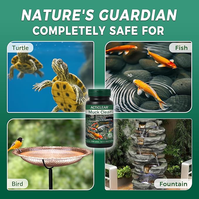 Muck Clear – Natural Pond Sludge Treatment, 2 LB for Ponds, Fountains & Bird Baths, Beneficial Bacteria & Enzymes, Chemical-Free & Safe for Fish, Pets & Wildlife