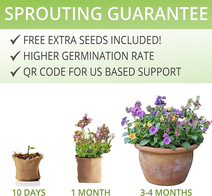 Wildflower Seed Mix Growing Kit - Includes Perennial & Annual Wild Flowers, Burlap Planters, Soil, Wooden Box, and Gardening Tools for Indoor Garden and Patio Planting