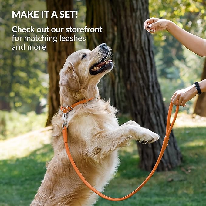 CollarDirect Rolled Leather Dog Collar, Soft Padded Round Puppy Collar, Handmade Genuine Leather Collar Dog Small Large Cat Collars 13 Colors (18-22 Inch, Orange Smooth)