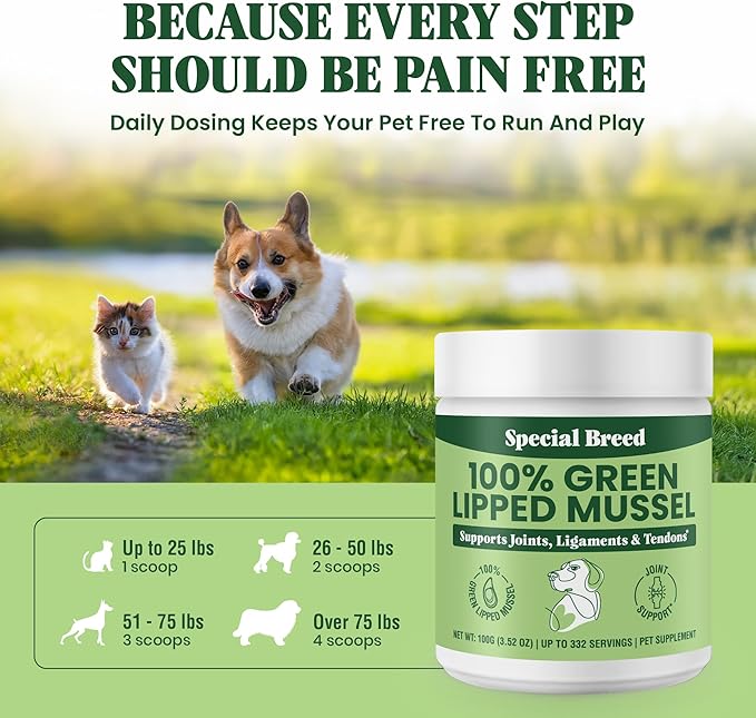 Special Breed Green Lipped Mussel Powder for Dogs & Cats - 100% New Zealand - Natural Hip & Joint Supplement for Joints, Tendons, Ligaments, Muscles - 100 Grams - Up to 332 Servings