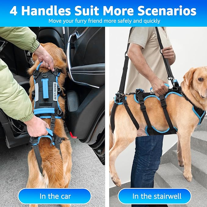 Dog Lift Harness for Large Male Dogs, 2-in-1 Detachable Support Harness, Full Body Carrying with 4 Handles, Dog Sling for Large Dogs Hind Leg Support(Black, X-Large)