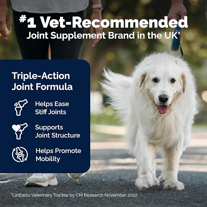 Yumove Hip & Joint Supplement for Dogs - with Glucosamine Chondroitin, Omega 3, Hyaluronic Acid, Green Lipped Mussel & Fish Oil for Dogs - Senior Dog Joint Supplement (120ct Chewable Tablets)