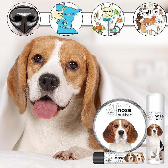 The Blissful Dog Beagle Nose Butter for Dry, Cracked Skin, Lick-Safe Dog Nose Balm with Moisturizing Shea Butter, Almond, Olive, and Essential Oils, Pet Supplies, Uncented, 8 oz.