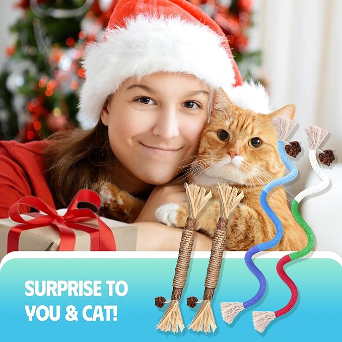 Cat Toys Chew Rope & Silvervine Sticks for Bored Indoor Adult Cats, 2Pcs Interactive Catnip Toys for Cats with Refillable Natural Catnip Bag for Teeth Cleaning