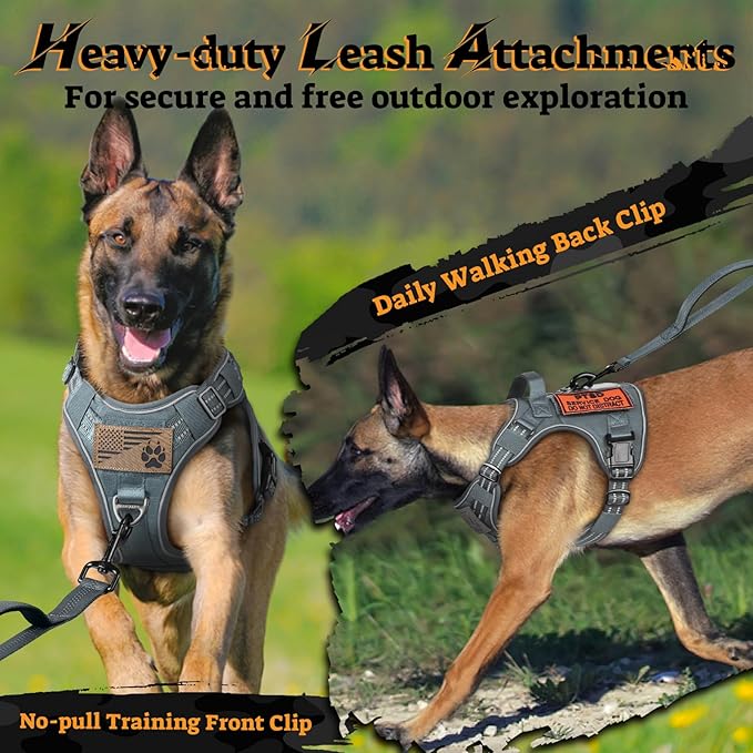 rabbitgoo Dog Harness for Large Dogs No Pull, Tactical Service Pet Vest with Molle and Control Handle, Adjustable and Reflective Military Harness for Easy Walking and Training, Grey, XL