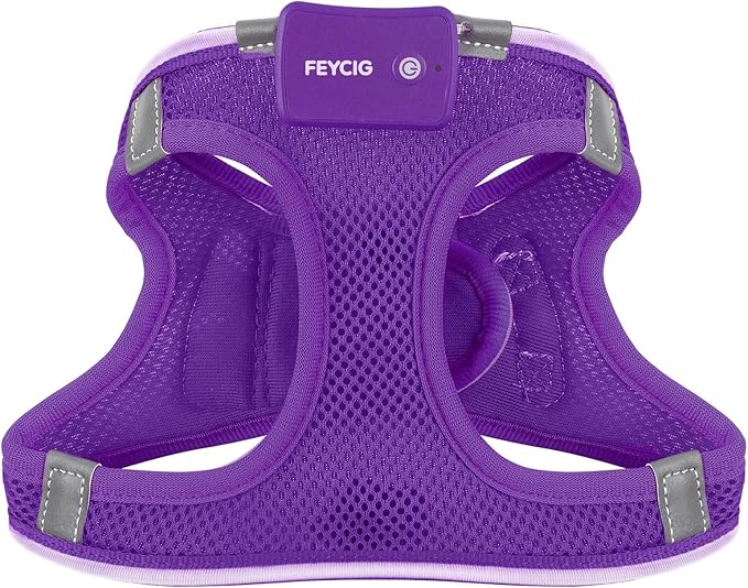 Light Up Dog Harness,Rechargeable LED Dog Harness for Small Medium Large Dogs,Reflective Lighted Safety Vest for Night Walking & Camping,Lightweight & Adjustable,Purple,S