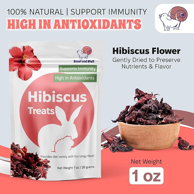 Snout and Shell Hibiscus Treats – 100% Natural Dried Flowers for Small Pets – Immunity Support & Antioxidants – Healthy Snack for Rabbits, Guinea Pigs, & Chinchillas (1 oz)