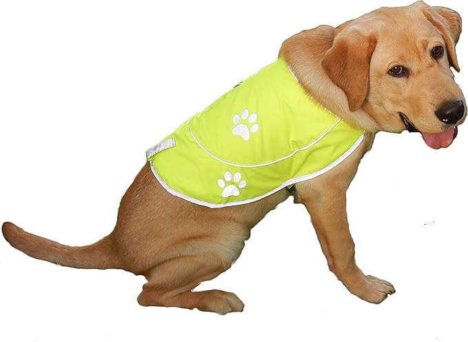Dog Reflective Vest - Comfortable Jacket Safety Hunting, High Visibility for Dogs with Elastic Straps and Clasp Closure-Orange, Medium