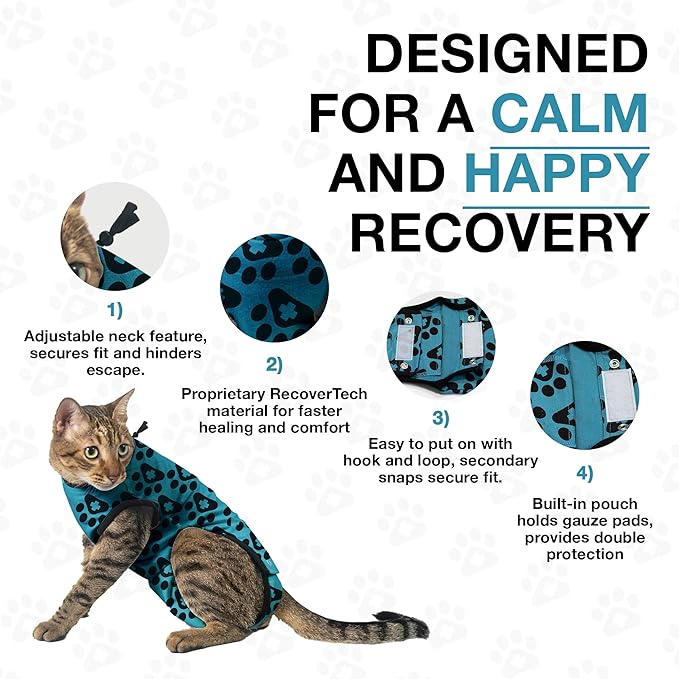 Bellyguard Cat Recovery Suit Female and Male, Comfy Onesie After Surgery, Kitten Clothes for Post-Op Care, Neuter and Spay Healing Outfits for Cats Only – Comfortable Kitten and Adult Cone Alternative