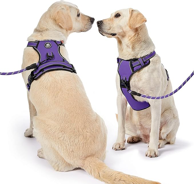 NESTROAD No Pull Dog Harness,Adjustable Oxford Dog Vest Harness with Leash,Reflective No-Choke Pet Harness with Easy Control Soft Handle for Large Dogs(X-Large,Purple)