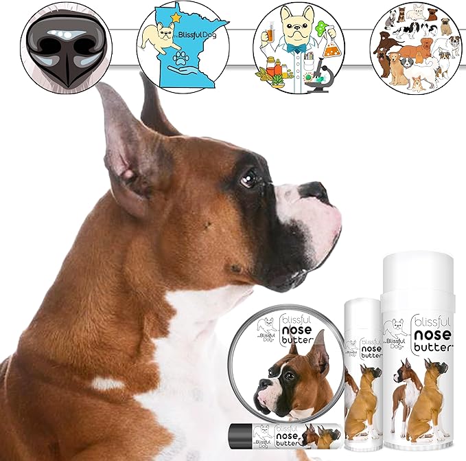 The Blissful Dog Show Boxer Nose Butter for Dry, Cracked Skin, Lick-Safe Dog Nose Balm with Moisturizing Shea Butter, Almond, Olive, and Essential Oils, Pet Supplies, Uncented, 0.50 oz.