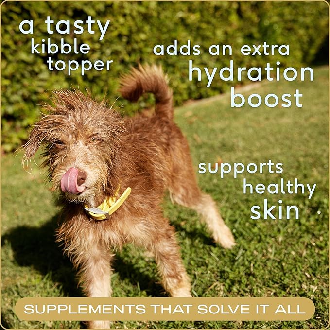 Native Pet Bone Broth for Dogs and Cats - Chicken Bone Broth Powder Dog Food Toppers for Picky Eaters - Provides Extra Nutrition for Joint Strength, Immune Support & Heart Health - 48 Scoops