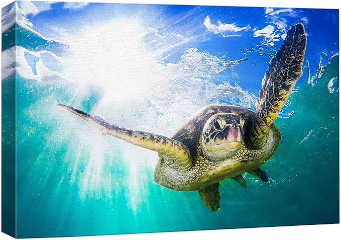 wall26 Canvas Print Wall Art Sunlight Tropical Ocean Underwater Turtle Nature Animals Photography Realism Rustic Scenic Landscape Wilderness Earth Colorful for Living Room, Bedroom, Office - 32"x48"