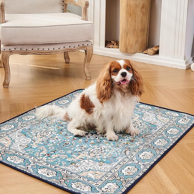 Qeils Washable Pee Pads for Dogs, 2 Pack Reusable Puppy Pads 36"x41" Super Absorbent Leakproof Dog Training Pads, Non-Slip Potty Pads for Floor, Crate, Couch, Whelping Pads Litter Mat Pet Supplies