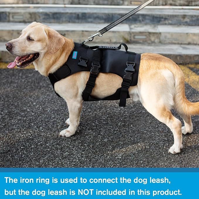 Dog Lift Harness, Rehabilitation Lifts Vest for Dogs, Support & Recovery Sling, Adjustable Breathable Lifting Straps for Old, Joint Injuries, Arthritis, Paralysis Dogs Walk (2XL, Black)