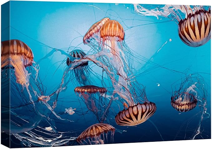 wall26 Canvas Print Wall Art Tiger Stripe Jellyfish Underwater Ocean Sea Nature Animals Photography Realism Rustic Scenic Landscape Wilderness Colorful for Living Room, Bedroom, Office - 24"x36"