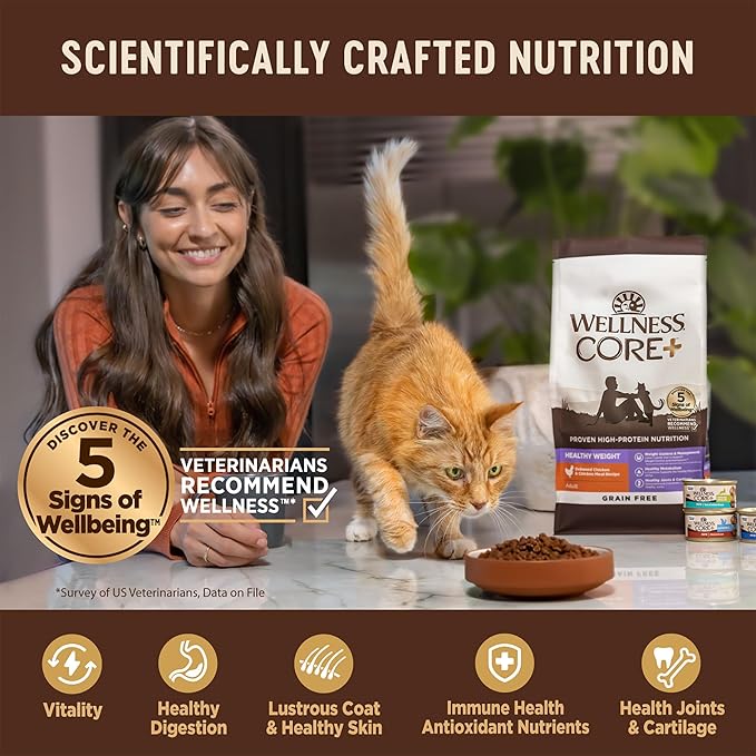 Wellness CORE+ Adult Dry Cat Food for Indoor & Outdoor Cats, Grain Free, Natural, Healthy Weight, Chicken and Chicken Meal (4.75 Pound Bag)