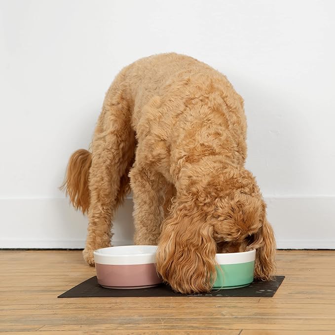 Waggo Dipper Ceramic Dog Bowl for Small and Large Breeds - Heavyweight and Durable Pet Food and Water Dish Crock, Dishwasher Safe, Modern (Medium, Dolphin)