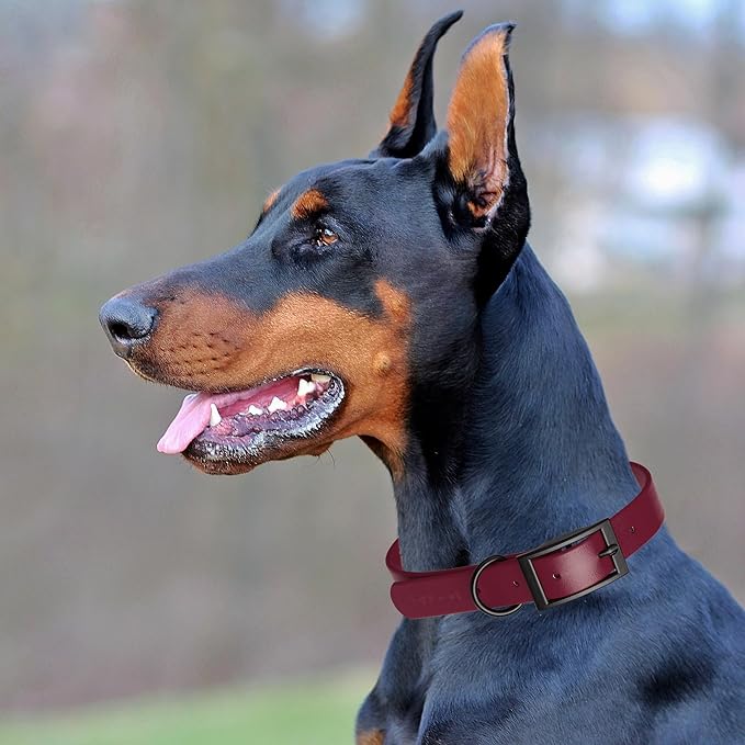 Dogline Biothane Waterproof Dog Collar Strong Coated Nylon Webbing with Black Hardware Odor- Proof for Easy Care Easy to Clean High Performance Fits Small Medium or Large Dogs, Merlot Burgundy