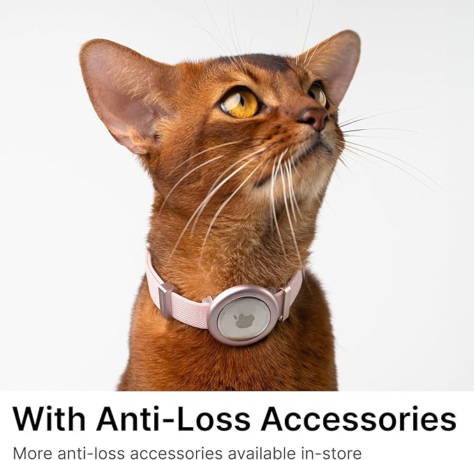 Safety Cat Collar Pro - U.S. IDA Gold Awarding Design, Elastic Quick Release Cat Collar with Buckle Non Breakaway - Lightweight for Kitten All Small Large Cats (Sierra Blue, M 7.9-15.7")