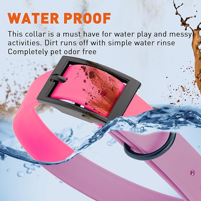 Dogline Biothane Waterproof Dog Collar Strong Coated Nylon Webbing with Black Hardware Odor- Proof for Easy Care Easy to Clean High Performance Fits Small Medium or Large Dogs, Passionfruit Pink