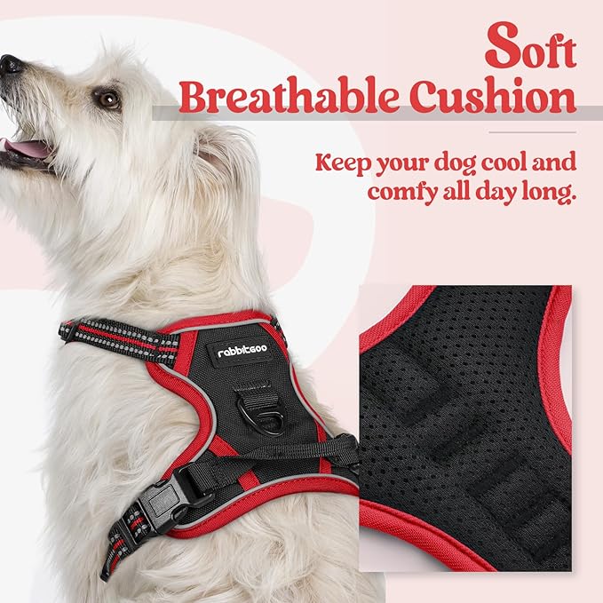 rabbitgoo Dog Harness No Pull with 2 Leash Clips, Adjustable Soft Padded, Reflective Oxford No Choke Pet Vest with Easy Control Handle for Puppy, Black & Red, XS