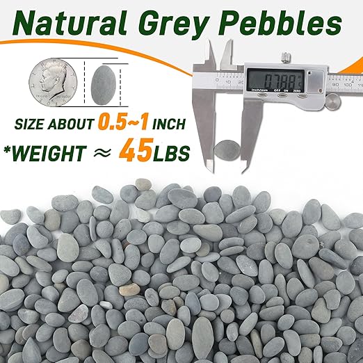 5 lbs Mexican Beach Pebbles, 0.4-1 Inch Natural River Rocks for Indoor Plants Vase Fish Tank Aquarium Fountain, Decorative Stone for Landscaping Garden Paving Walkways Backyard, Grey
