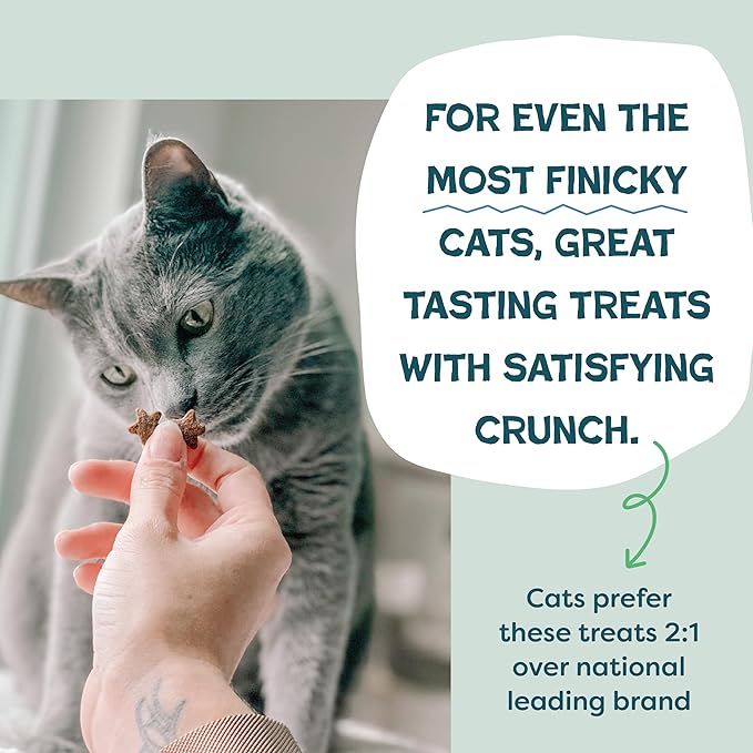 Shameless Pets Digestive Health Catnip Chicken Crunchy Cat Treats