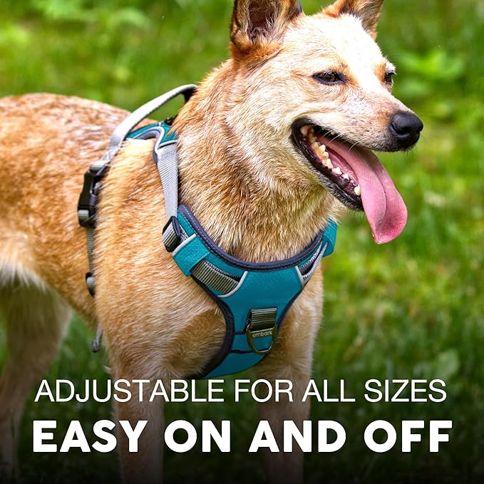 Embark Adventure Dog Harness, No-Pull Reflective Trim Dog Harness for Small, Medium & Large Dogs - Military Grade Nylon, 2 Leash Clips & Gel Lined Handle. Soft & Padded Puppy Dog Vest for Any Breed