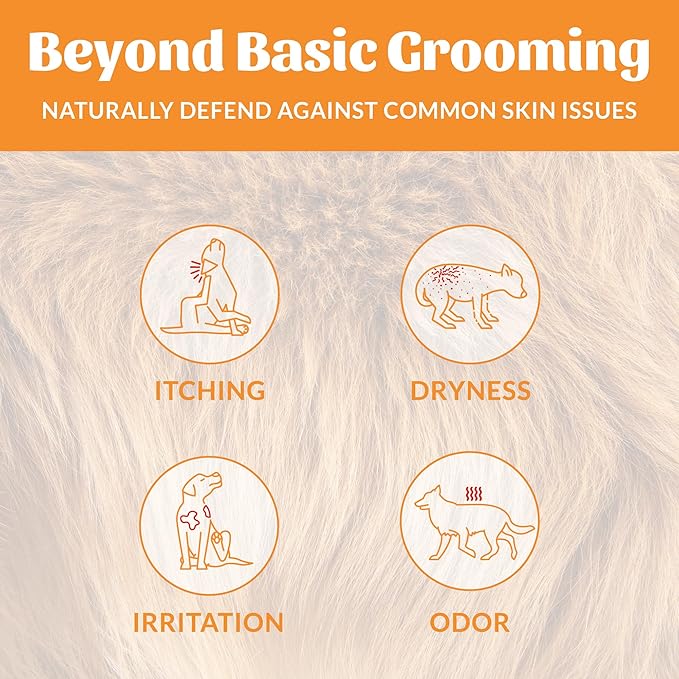 Skout's Honor Probiotic Dog Shampoo & Conditioner with Avocado Oil & Omega-3s, 97% Natural, Paraben & Sulfate-Free, Cruelty-Free, 16oz, Honeysuckle