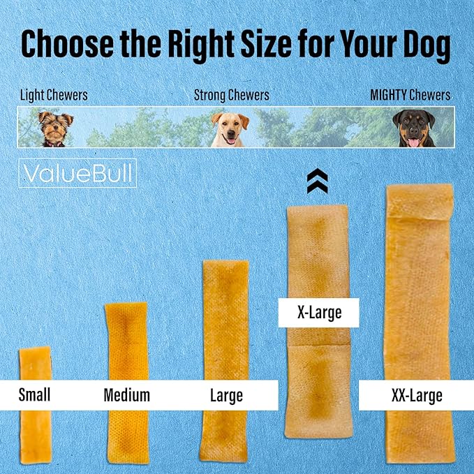 ValueBull Himalayan Yak Cheese Dog Chews, Extra Large, 50 ct Wholesale Pack - Long Lasting for Aggressive Chewers, All Natural, Healthy & Safe, Low Odor Nepal Yak Milk Chews