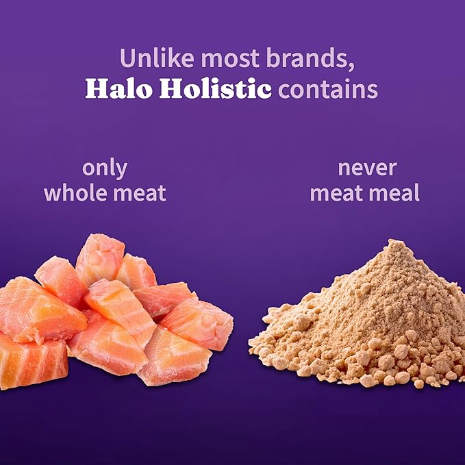 Halo Holistic Cat Food Wild Caught Salmon & Whitefish Formula, Healthy Grains Dry Cat Food, Complete Digestive Health, Kibble for Adult Cats, 6 lb Bag