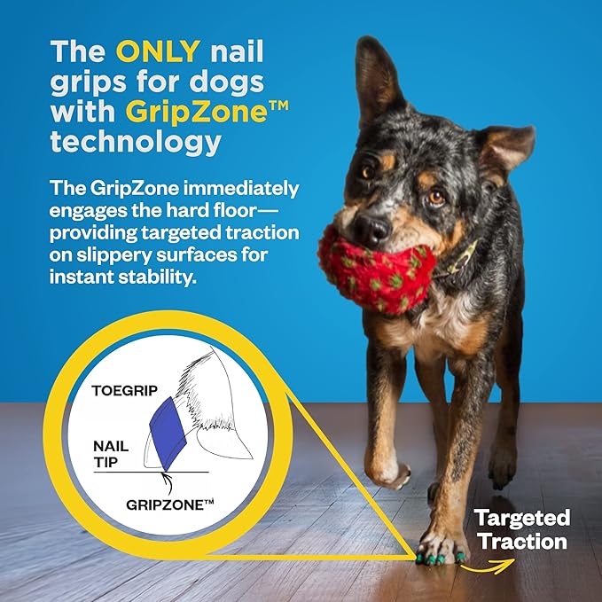 Dr Buzby's Small ToeGrips for Dogs - Instant Traction on Wood/Hardwood Floors - Anti Slip Relief - Grippers for Senior Dogs - Stop Sliding Instantly - Rubber Nails for Paws - 1 Pack (20 Grips)