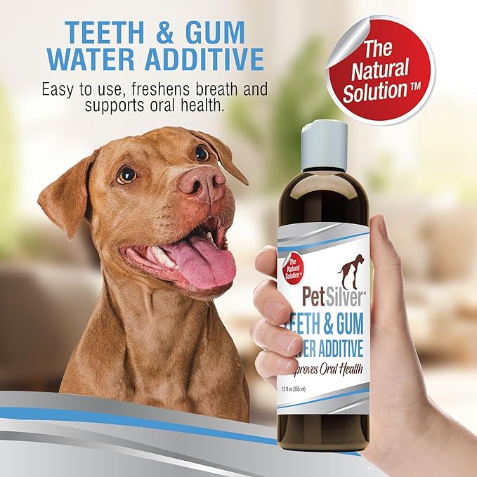 PetSilver Teeth & Gum Water Additive for Dental Care - Pet Breath Freshener - Targets Tartar, Plaque & Eliminates Bad Breath - Dog Oral Care & Cat Teeth Cleaning - No Brushing & Tasteless - 12 fl oz